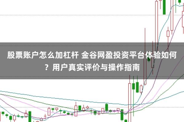 股票账户怎么加杠杆 金谷网盈投资平台体验如何？用户真实评价与操作指南