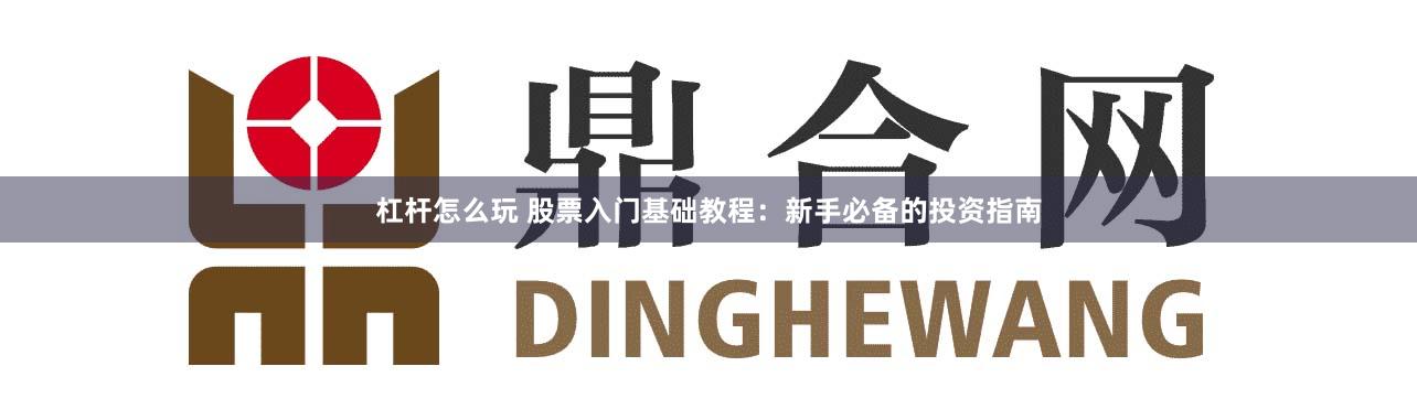 杠杆怎么玩 股票入门基础教程：新手必备的投资指南